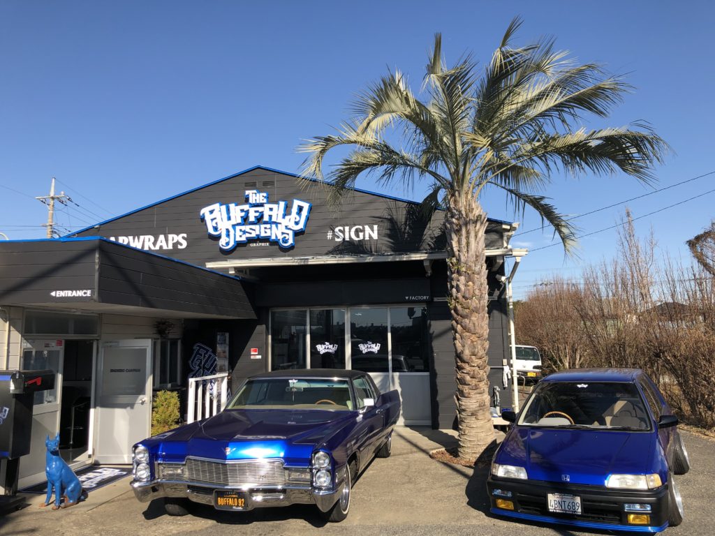 the BUFFALO DESIGNS Buffalo Designs inc.